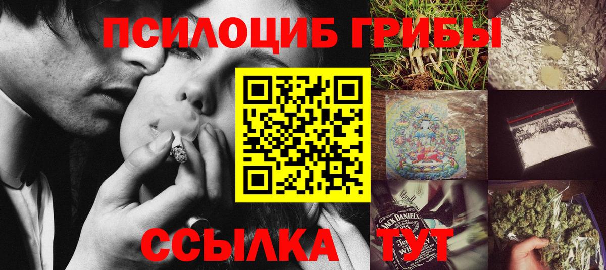 Галлюциногенные грибы Cubensis Надым